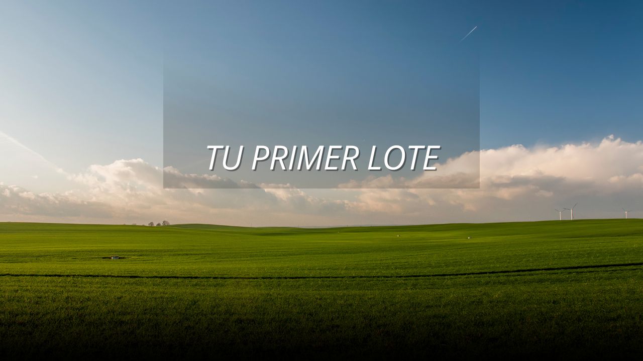 TU PRIMER LOTE